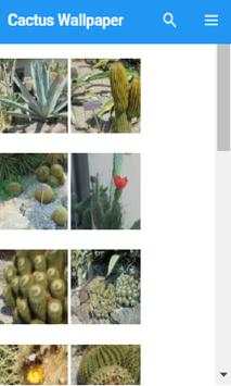 Cactus Wallpaper screenshot 1