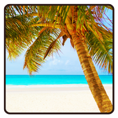 Beach Wallpaper icon