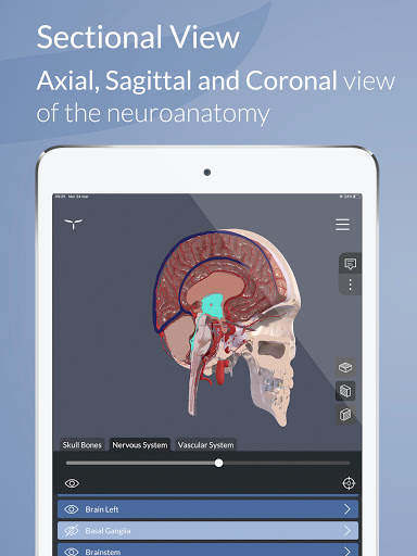 Head Atlas screenshot 9