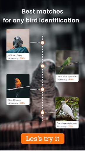 Bird identification: Picture bird identifier app screenshot 5