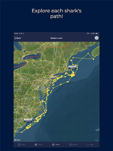 OCEARCH Shark Tracker screenshot 8
