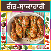Non Veg Recipes in panjabi icon