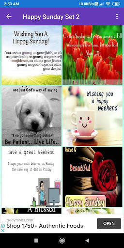 Happy Sunday: Greetings, GIF W 1 تصوير الشاشة