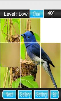 bird games puzzle screenshot 4