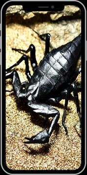 Scorpion Wallpaper HD screenshot 3