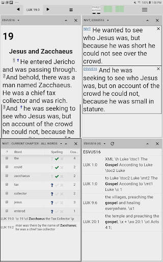 Paratext Lite screenshot 8
