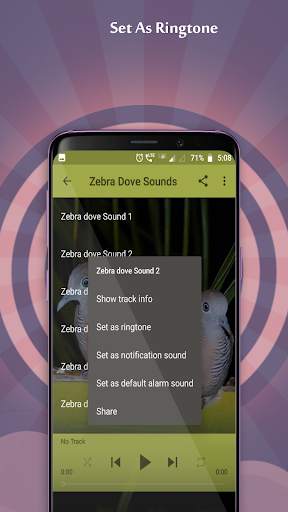 Zebra Dove Sounds screenshot 3