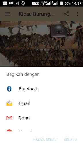 Kicau Burung Walet screenshot 3