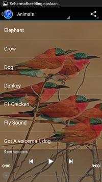 Popular Ringtones Free screenshot 4