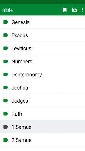 RSV Bible screenshot 3