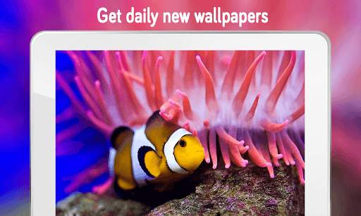 Fish Wallpaper (4k) screenshot 6