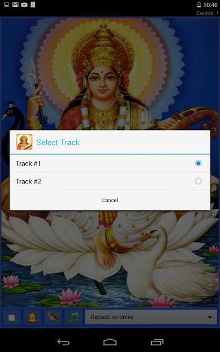 Maa Saraswati Mantra 6 تصوير الشاشة