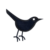 Bird Songs icon