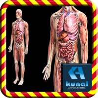 Human Anatomy icon