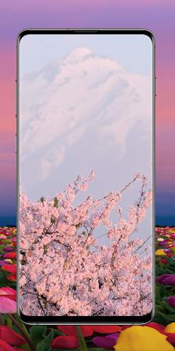 Flower Wallpapers screenshot 6