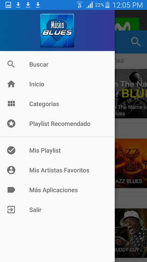 Blues Music screenshot 7
