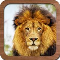 Free Animal Sound Ringtone