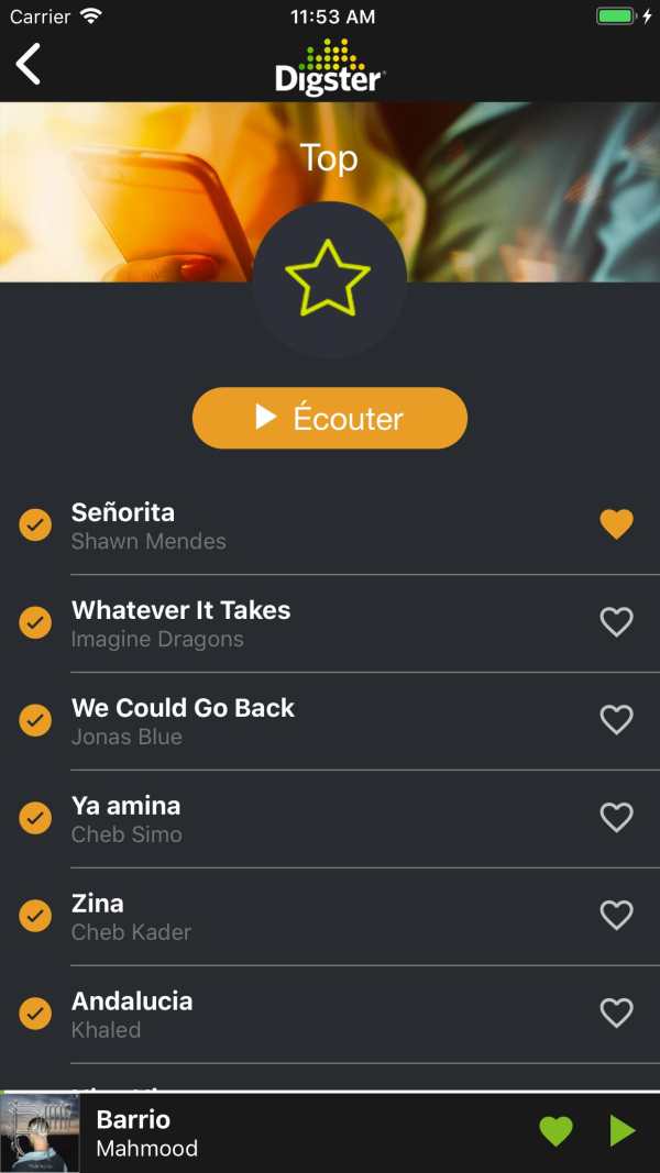 DIGSTER MAROC -MUSIC screenshot 8