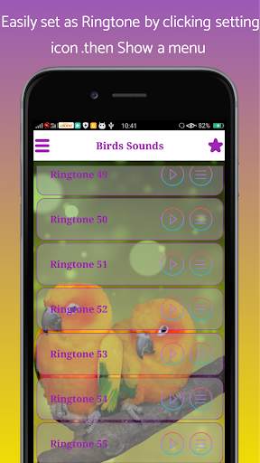 Birds Sounds and Ringtone screenshot 2