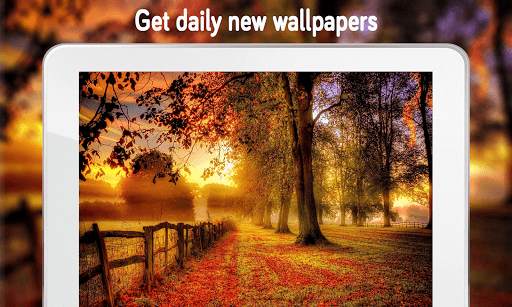 Autumn Wallpaper (4k) screenshot 16