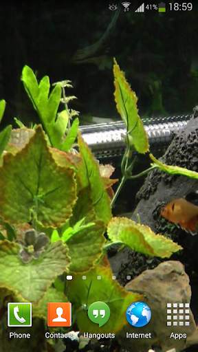 Fish Live Wallpaper HD 2 screenshot 5