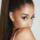 ARIANA 3.1