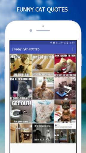 FUNNY CAT QUOTES स्क्रीनशॉट 1