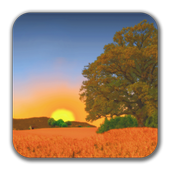 Day after Night LWP icon