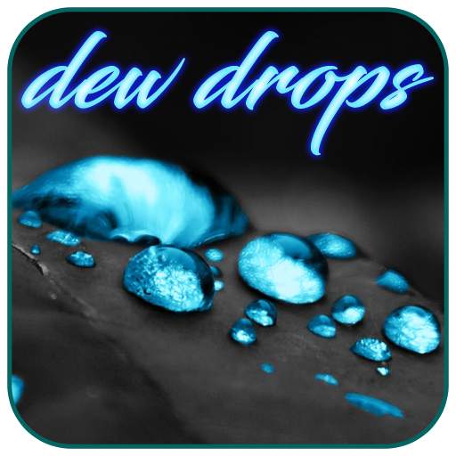 Water Dew Drops Live Wallpaper 1.1.1