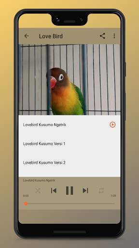Kicau Burung Terlengkap screenshot 5