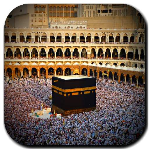 Hadji Video Live Wallpaper 4.0