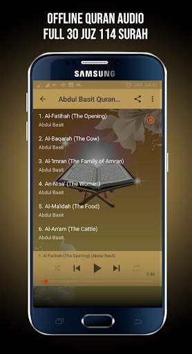 Abdul Basit Full Quran Mp3 Offline screenshot 4