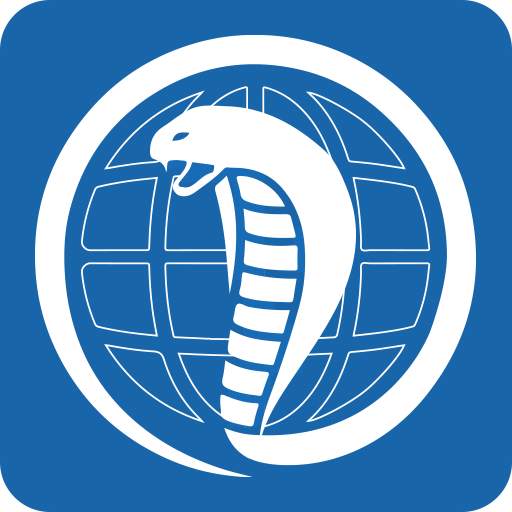 Cobra Browser 2.07.02