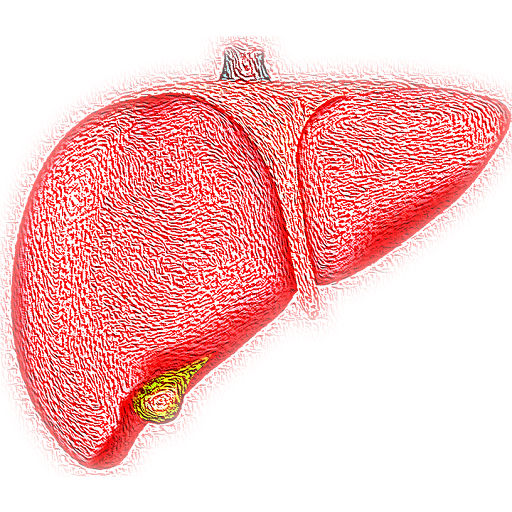 Fatty Liver Exercise Treatment Diet Free App icon