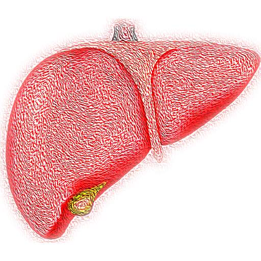 Fatty Liver Exercise Treatment Diet Free App 1.0.0