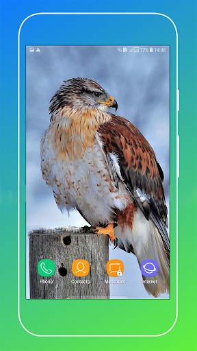 Bird Wallpaper screenshot 12