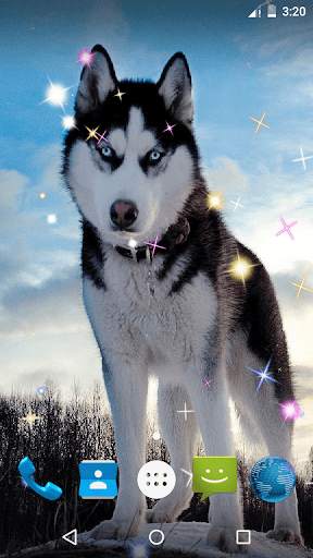 Wolf Live Wallpaper screenshot 5