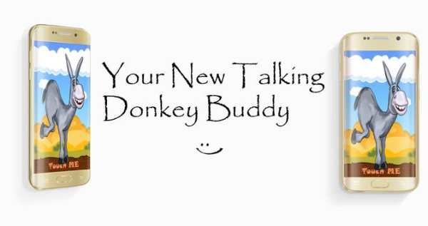 My Talking Donkey screenshot 2