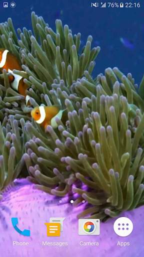 Sea Life 3D Video Wallpaper screenshot 3