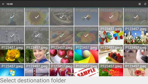 Dlna Camera Sync screenshot 4