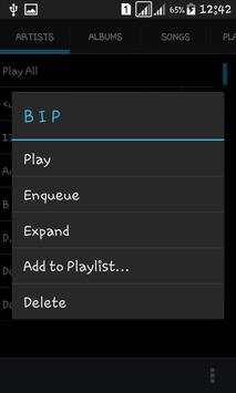 Player Pro Music Player screenshot 2