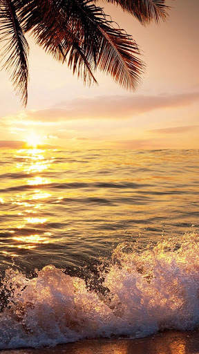 Beach Sunset Live Wallpaper screenshot 1