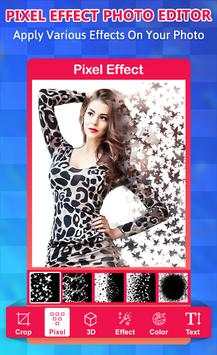 Pixel Effect Photo Editor screenshot 1
