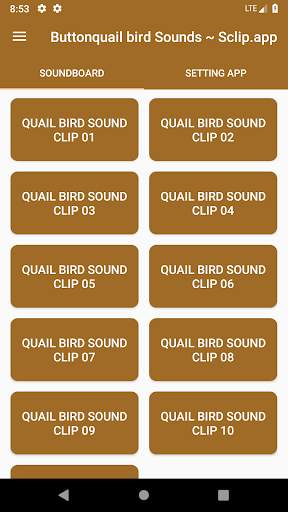 Buttonquail Bird Call Sounds ~ Sclip.app screenshot 1