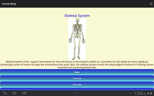 Human Body - Anatomy screenshot 10