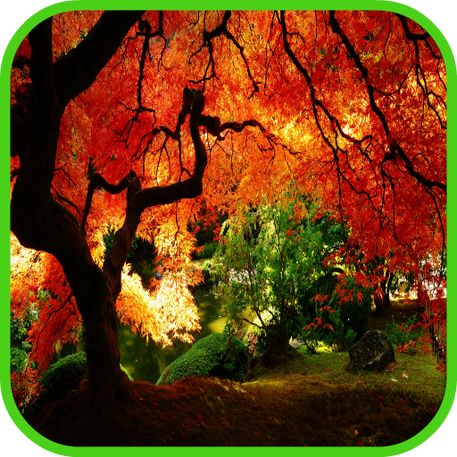 Park Wallpaper icon