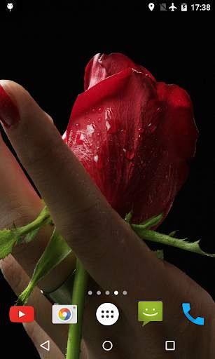 Girl And Rose Live Wallpaper screenshot 1