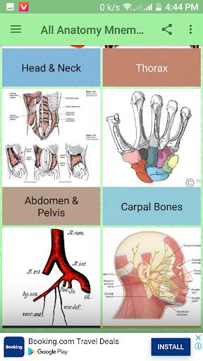 All Anatomy Mnemonic screenshot 3