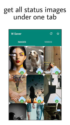 W Saver - Status Downloader screenshot 1