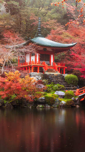 Garden wallpaper screenshot 4